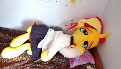 Size: 1440x820 | Tagged: safe, artist:ec31314, imported from derpibooru, sunset shimmer, pony, unicorn, clothes, irl, life size, photo, plushie