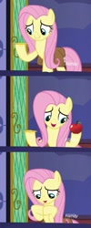 Size: 430x1080 | Tagged: safe, edit, imported from derpibooru, fluttershy, a health of information, apple, food, meme, pen, pen pineapple apple pen, pencil
