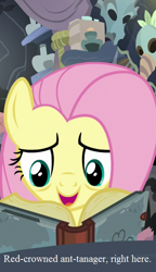 Size: 375x650 | Tagged: safe, edit, edited screencap, imported from derpibooru, screencap, fluttershy, a health of information, cropped, text, that pony sure does love animals