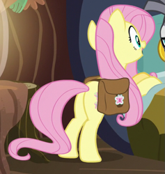 Size: 509x536 | Tagged: safe, imported from derpibooru, screencap, fluttershy, a health of information, butt, cropped, plot, saddle bag