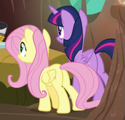 Size: 501x480 | Tagged: safe, imported from derpibooru, screencap, fluttershy, twilight sparkle, alicorn, pegasus, pony, a health of information, butt, cropped, duo, plot, twilight sparkle (alicorn)