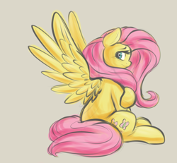 Size: 1700x1569 | Tagged: safe, artist:graphene, imported from derpibooru, fluttershy, pegasus, pony, colored sketch, cute, female, looking at you, profile, shy, shyabetes, simple background, sitting, solo, spread wings, wings