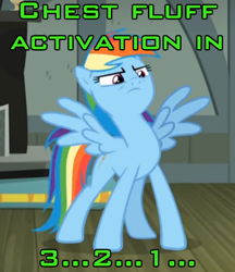 Size: 500x580 | Tagged: safe, edit, edited screencap, imported from derpibooru, screencap, rainbow dash, pegasus, pony, daring done?, chest fluff, female, image macro, meme, solo, spread wings, wings