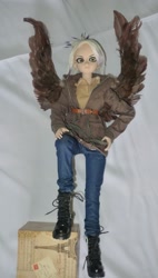 Size: 1116x1966 | Tagged: safe, artist:ereb-tauramandil, artist:redness, imported from derpibooru, gilda, ball jointed doll, bjd, custom, customized toy, irl, photo, radical-gilda, toy, wings