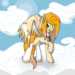 Size: 894x894 | Tagged: safe, artist:nat998877, imported from derpibooru, oc, oc only, oc:alani, pegasus, pony, cloud, glasses, necktie, sky
