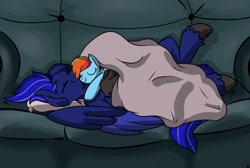 Size: 1280x858 | Tagged: safe, alternate version, artist:riverofdreams, artist:roy, imported from derpibooru, rainbow dash, oc, oc:neutrino burst, hippogriff, pony, blanket, couch, pillow, plushie, sleeping, unshorn fetlocks