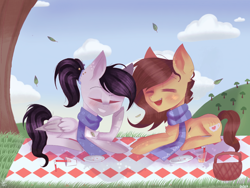 Size: 2048x1536 | Tagged: safe, artist:mewmewsart, imported from derpibooru, oc, oc only, oc:coffee, oc:tess, earth pony, pegasus, pony, clothes, female, mare, picnic, prone, scarf