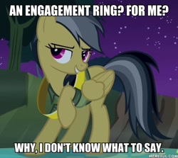 Size: 600x536 | Tagged: safe, edit, edited screencap, imported from derpibooru, screencap, daring do, pegasus, pony, daring don't, clothes, cute, daring dorable, engagement ring, female, image macro, lidded eyes, mare, meme, memeful.com, raised hoof, rings of scorchero, solo