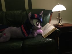 Size: 3264x2448 | Tagged: safe, artist:epicrainbowcrafts, imported from derpibooru, twilight sparkle, pony, unicorn, book, couch, irl, photo, plushie, reading, solo