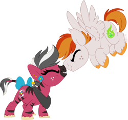 Size: 1024x959 | Tagged: safe, artist:kellythedrawinguni, imported from derpibooru, oc, oc only, oc:firenvy, oc:sciggles, pegasus, pony, zebra, bow, chibi, female, horse collar, male, nuzzling, simple background, stallion, tail bow, transparent background, yoke, zebra oc