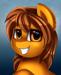 Size: 1446x1764 | Tagged: safe, artist:pridark, imported from derpibooru, oc, oc only, oc:zip circuit, pony, commission, grin, simple background, smiling, solo