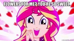 Size: 600x337 | Tagged: safe, edit, edited screencap, imported from derpibooru, screencap, sunset shimmer, eqg summertime shorts, equestria girls, pet project, bronybait, image macro, meme, memeful.com, shimmering the gecko