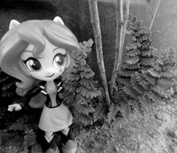 Size: 863x750 | Tagged: safe, artist:whatthehell!?, imported from derpibooru, sunset shimmer, equestria girls, black and white, clothes, doll, equestria girls minis, eqventures of the minis, fern, grayscale, irl, jacket, merchandise, monochrome, photo, plants, skirt, toy