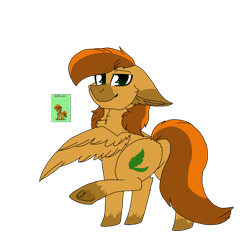 Size: 2560x2560 | Tagged: safe, artist:brokensilence, imported from derpibooru, oc, oc only, oc:sunlit leaf, pegasus, pony, pony town, butt, chest fluff, ear fluff, freckles, male, plot, raised hoof, rear view, simple background, stallion, transparent background, unshorn fetlocks