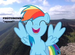 Size: 1024x763 | Tagged: safe, artist:didgereethebrony, imported from derpibooru, rainbow dash, pegasus, pony, ^^, didgeree collection, eyes closed, irl, kanangra boyd national park, mlp in australia, photo, photobomb, ponies in real life, solo, squee