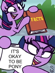 Size: 760x1015 | Tagged: safe, artist:quarium edits, edit, imported from derpibooru, twilight sparkle, alicorn, ed edd n eddy, exploitable meme, fact, facts, it's okay to be white, meme, twilight sparkle (alicorn), twilight's fact book