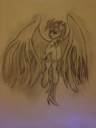 Size: 1934x2579 | Tagged: safe, artist:blizzcolt, imported from derpibooru, oc, oc only, oc:nimble wing, pegasus, pony, flying, jewelry, large wings, looking down, male, necklace, sketch, solo, spread wings, wings