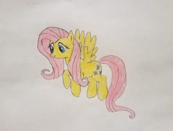 Size: 1024x777 | Tagged: safe, artist:amaryllisg, imported from derpibooru, fluttershy, pegasus, pony, female, solo, traditional art