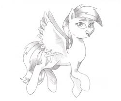 Size: 894x746 | Tagged: safe, artist:saturdaymorningproj, imported from derpibooru, rainbow dash, pegasus, pony, female, grayscale, mare, monochrome, open mouth, pencil drawing, simple background, solo, spread wings, traditional art, white background, wings