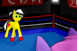 Size: 1800x1200 | Tagged: safe, artist:gexon_pane, imported from derpibooru, oc, oc only, oc:melody notes, oc:uppercute, earth pony, pegasus, pony, boxing, boxing gloves, boxing ring, crowd, female, freckles, mare, sports, spotlight