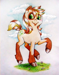 Size: 800x1004 | Tagged: safe, artist:walnutsprout, imported from derpibooru, oc, oc only, earth pony, pony, earth pony oc, traditional art, unshorn fetlocks