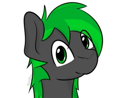Size: 2652x2096 | Tagged: safe, artist:notmywing, deleted from derpibooru, imported from derpibooru, oc, oc only, oc:bytewave, pegasus, pony, bust, male, portrait, simple background, smiling, solo, transparent background