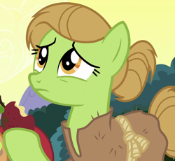 Size: 1100x1010 | Tagged: safe, imported from derpibooru, screencap, hafgrimr varganing, earth pony, pony, campfire tales, apple, background pony, burlap, burr laplander, cropped, female, food, hair bun, hoof hold, mare, rotten apple, solo, unnamed pony