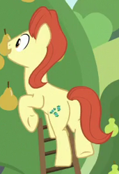 Size: 188x275 | Tagged: safe, imported from derpibooru, screencap, sweet strike, earth pony, pony, the perfect pear, background pony, butt, cropped, food, male, pear, pear family member, pear tree, plot, solo, underhoof