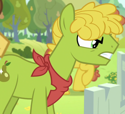 Size: 1000x912 | Tagged: safe, imported from derpibooru, screencap, cinnamon pear, cornice pear, grand pear, earth pony, pony, the perfect pear, angry, background pony, bandana, cropped, feud, food, male, neckerchief, pear, pear family, pear family member, pear tree, shiny concorde, solo focus, stallion, unnamed pony