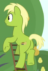 Size: 186x275 | Tagged: safe, imported from derpibooru, screencap, earth pony, pony, the perfect pear, background pony, butt, cropped, food, ladder, male, name suggestion in the comments, pear, pear family member, pear pie, pear tree, plot, solo, stallion, underhoof, unnamed pony