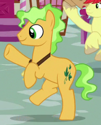 Size: 240x295 | Tagged: safe, imported from derpibooru, screencap, bright mac, ivy jive, earth pony, pony, the perfect pear, background pony, cropped, male, solo focus, stallion, unnamed pony