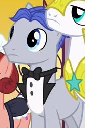 Size: 444x669 | Tagged: safe, imported from derpibooru, screencap, cobalt stone, red ribbons (character), earth pony, pony, a royal problem, background pony, butler, cropped, female, male, mare, red ribbons, royal guard, solo focus, stallion, unnamed pony