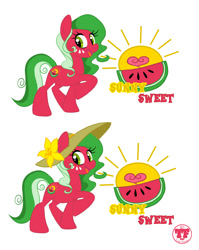 Size: 900x1129 | Tagged: safe, artist:nanook123, imported from derpibooru, oc, oc only, oc:sunny sweet, earth pony, pony, design a my little pony contest, female, mare, solo