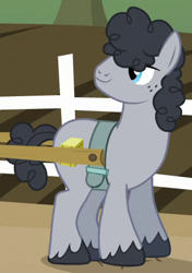 Size: 330x468 | Tagged: safe, imported from derpibooru, screencap, earth pony, pony, where the apple lies, background pony, cropped, male, solo, stallion, unnamed character, unnamed pony