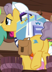 Size: 325x450 | Tagged: safe, imported from derpibooru, screencap, pinkie pie, earth pony, pony, ppov, background pony, beach breaker, butt, cropped, male, plot, saddle bag, sailor, seaside jack, stallion, unnamed pony