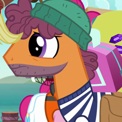 Size: 720x720 | Tagged: safe, imported from derpibooru, screencap, applejack, pinkie pie, earth pony, pony, ppov, background pony, cropped, male, saddle bag, sailor, schooner loop, stallion, unnamed pony
