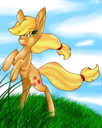 Size: 1778x2223 | Tagged: safe, artist:minibron3, imported from derpibooru, applejack, earth pony, pony, female, grass, mare, rearing, solo