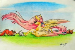 Size: 1299x869 | Tagged: safe, artist:cloud-dash, imported from derpibooru, fluttershy, deer, fox, pegasus, pony, rabbit, alternate hairstyle, animal, braid, fawn, looking at something, one wing out, prone, smiling, traditional art, windswept mane, wings