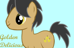 Size: 342x225 | Tagged: safe, artist:ultimatealejandro, imported from derpibooru, golden delicious, pony, pony creator, solo