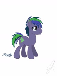 Size: 1800x2400 | Tagged: safe, artist:poshpegasus, imported from derpibooru, prince firefly, pony, g2, g2 to g4, g4, generation leap, male, solo