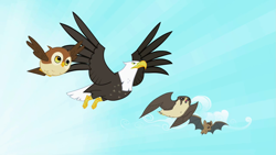 Size: 1279x720 | Tagged: safe, imported from derpibooru, screencap, bald eagle, bat, bird, eagle, falcon, owl, may the best pet win, animal, bird of prey, flying, peregrine falcon, sky