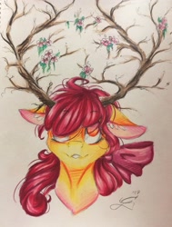 Size: 2591x3419 | Tagged: safe, artist:scootiegp, imported from derpibooru, apple bloom, deer pony, earth pony, original species, antlers, bow, bust, female, filly, floppy ears, flower, foal, horns, looking up, mare, portrait, red mane, simple background, smiling, solo, traditional art, white background, yellow fur