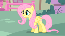Size: 1280x720 | Tagged: safe, imported from derpibooru, screencap, fluttershy, pegasus, pony, stare master, cute, female, shyabetes, solo
