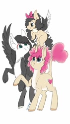 Size: 600x1065 | Tagged: safe, artist:laps-sp, imported from derpibooru, oc, oc only, oc:errie, oc:iridescent amour, oc:passionate spade, hybrid, pegasus, pony, colored wings, female, filly, interspecies offspring, mare, multicolored wings, offspring, offspring's offspring, pale belly, parent:discord, parent:fluttershy, parent:princess cadance, parent:shining armor, parents:discoshy, parents:shiningcadance, simple background, white background, white belly
