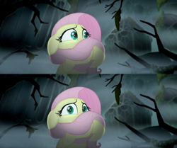 Size: 1280x1069 | Tagged: safe, imported from derpibooru, screencap, fluttershy, pegasus, pony, my little pony: the movie, ears back, female, floppy ears, mare, scared, solo