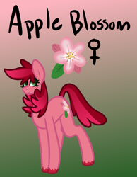 Size: 700x900 | Tagged: safe, artist:eppyminecart, imported from derpibooru, oc, oc only, oc:apple blossom (ice1517), earth pony, pony, icey-verse, female, gradient background, mare, next generation, offspring, parent:big macintosh, parent:cheerilee, parents:cheerimac, solo, unshorn fetlocks