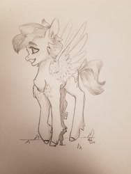 Size: 4032x3024 | Tagged: safe, artist:thebirbdraws, imported from derpibooru, rainbow dash, pegasus, pony, female, smiling, solo, traditional art