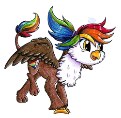 Size: 465x453 | Tagged: safe, artist:gummysky, artist:happy-go-creative, artist:violetdanka-n-silly, imported from derpibooru, oc, oc only, oc:rainbow feather, pony, fledgeling, interspecies offspring, magical lesbian spawn, offspring, parent:gilda, parent:rainbow dash, parents:gildash, rainbow hair, simple background, solo, transparent background