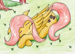 Size: 2193x1588 | Tagged: safe, artist:40kponyguy, derpibooru exclusive, imported from derpibooru, fluttershy, pegasus, pony, 30 minute art challenge, cute, eyes closed, female, floppy ears, grass, lying down, shyabetes, sleeping, solo, traditional art