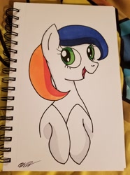 Size: 1072x1440 | Tagged: safe, artist:wolftendragon, imported from derpibooru, oc, oc only, oc:sud scrubber, oc:tide pod, food pony, pony, bust, female, happy, mare, ponified, portrait, signature, solo, tide pods, tide pony, traditional art